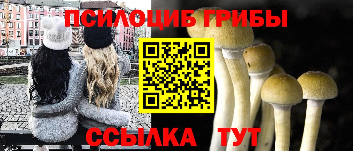 Галлюциногенные грибы мицелий Североморск