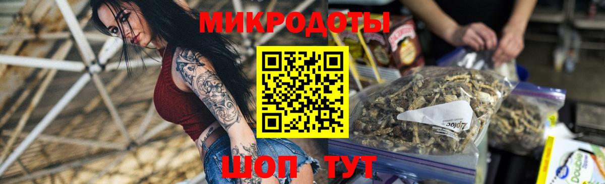 Североморск  Галлюциногенные грибы мухоморы  Вход с VPN 
